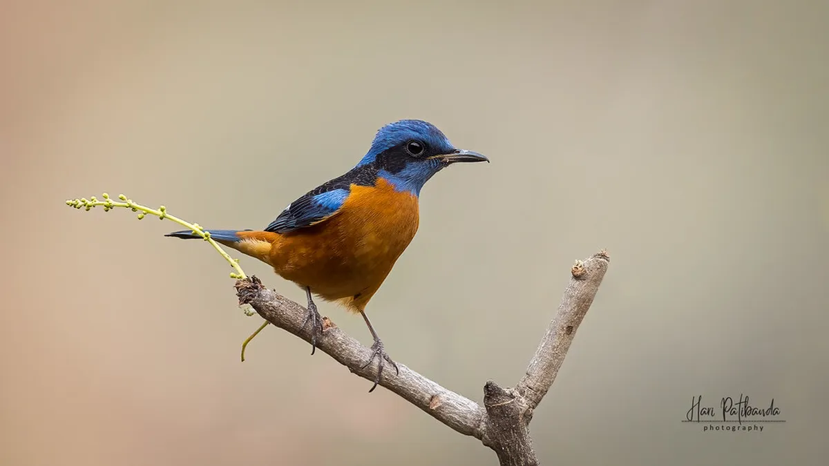 Best Winter Activities in Innsbruck City 2026