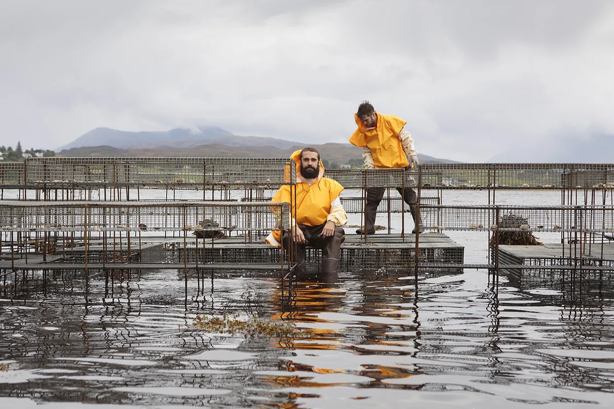 Local Community Events in Linz During January 2026