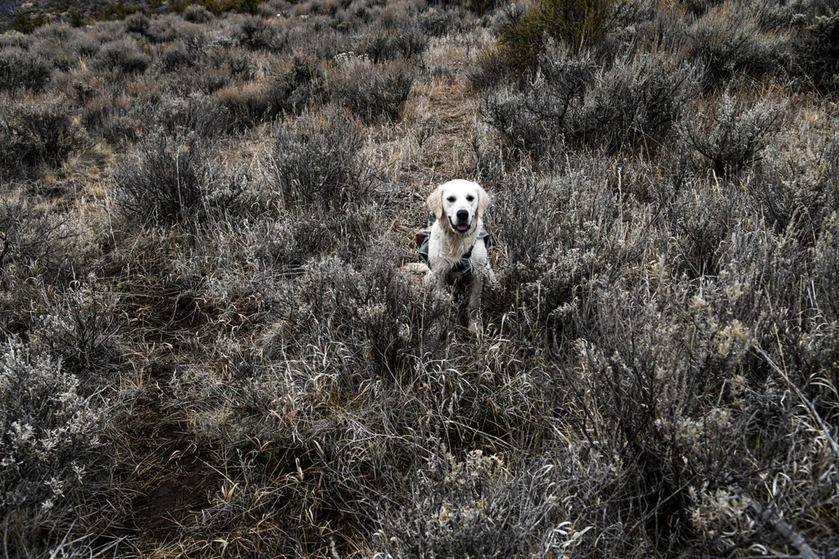 Essential Winter Gear for Visiting Tampere 2026