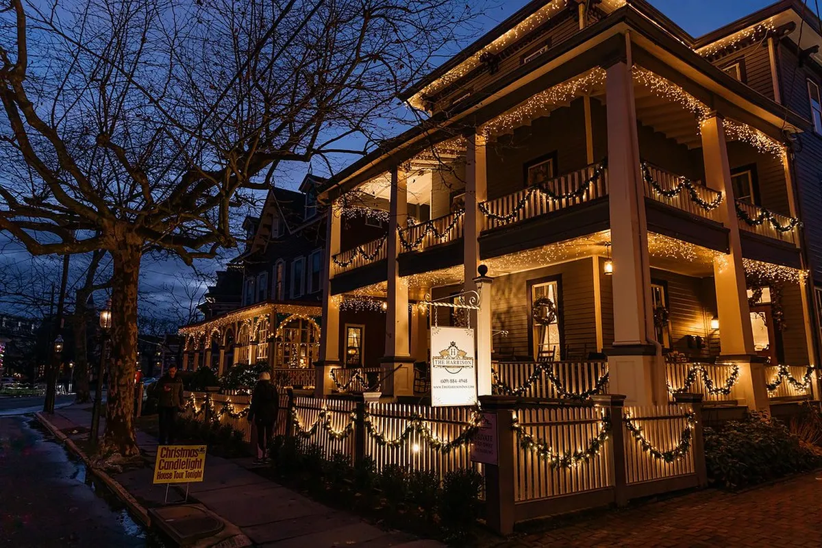 Best Winter Whale Watching Tour Operators in Akureyri