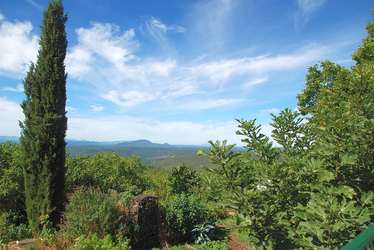 Best Time to Visit Kagoshima Onsens in Winter