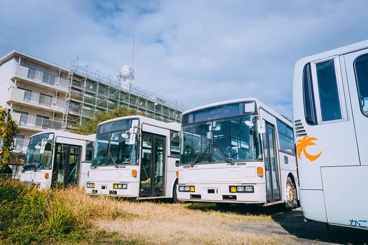 Bus Tours from Kagoshima to Kirishima Shrines 2026
