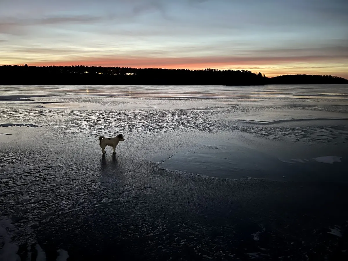 Winter Evening Walk in Higashi Chaya District Guide