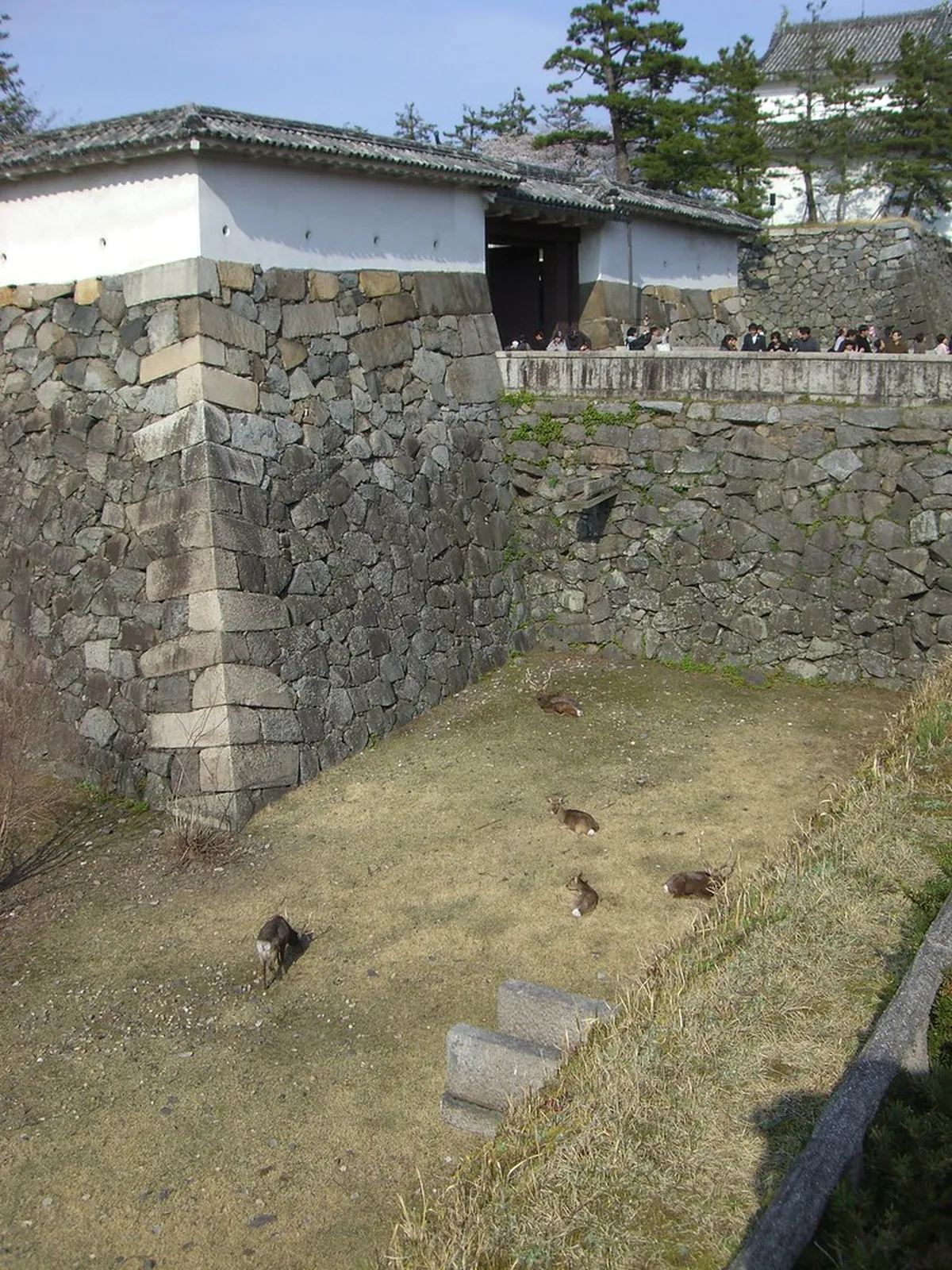 How to Get to Nagoya Castle Station (2026)