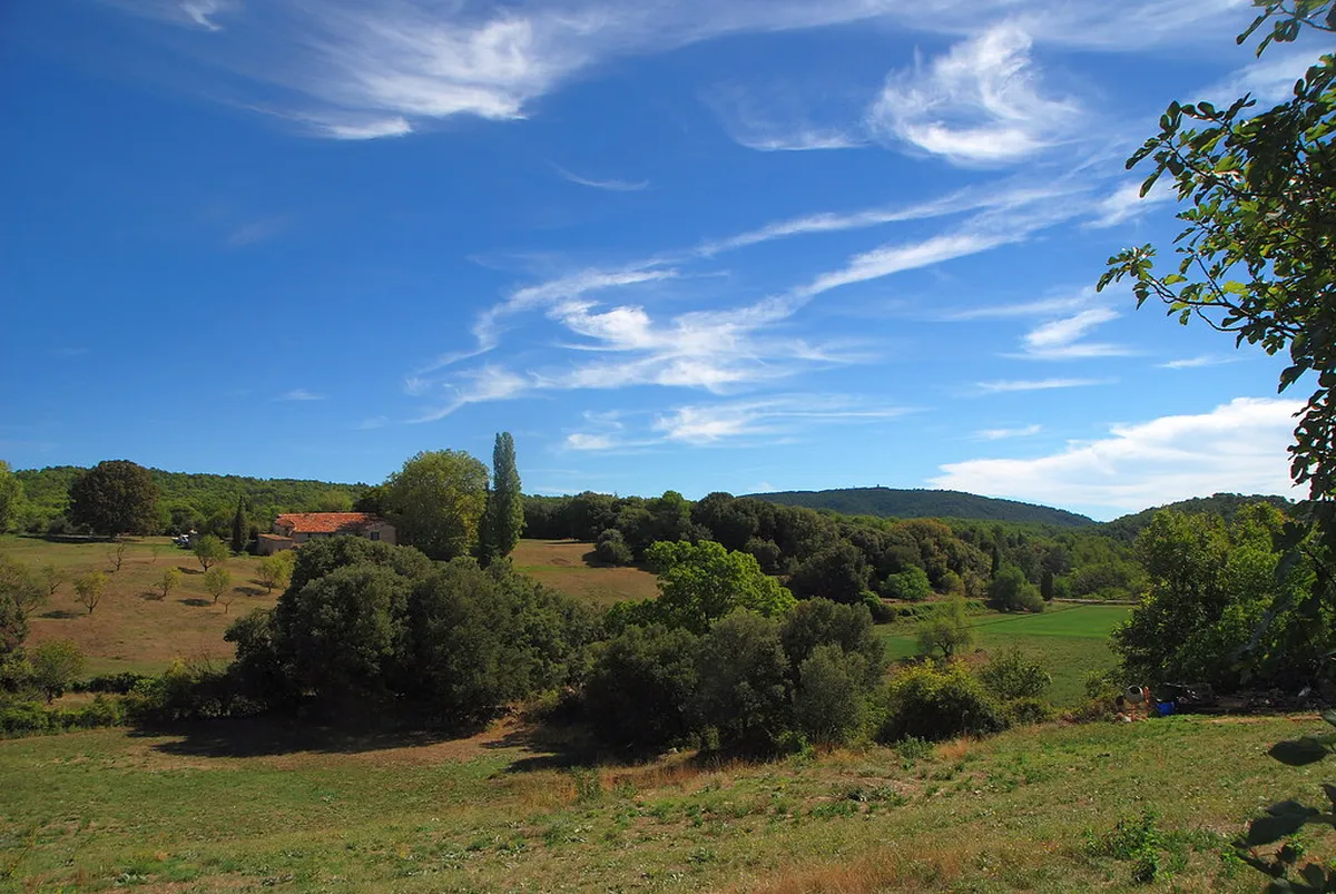 2026 Local Food Festivals in Naha During Winter