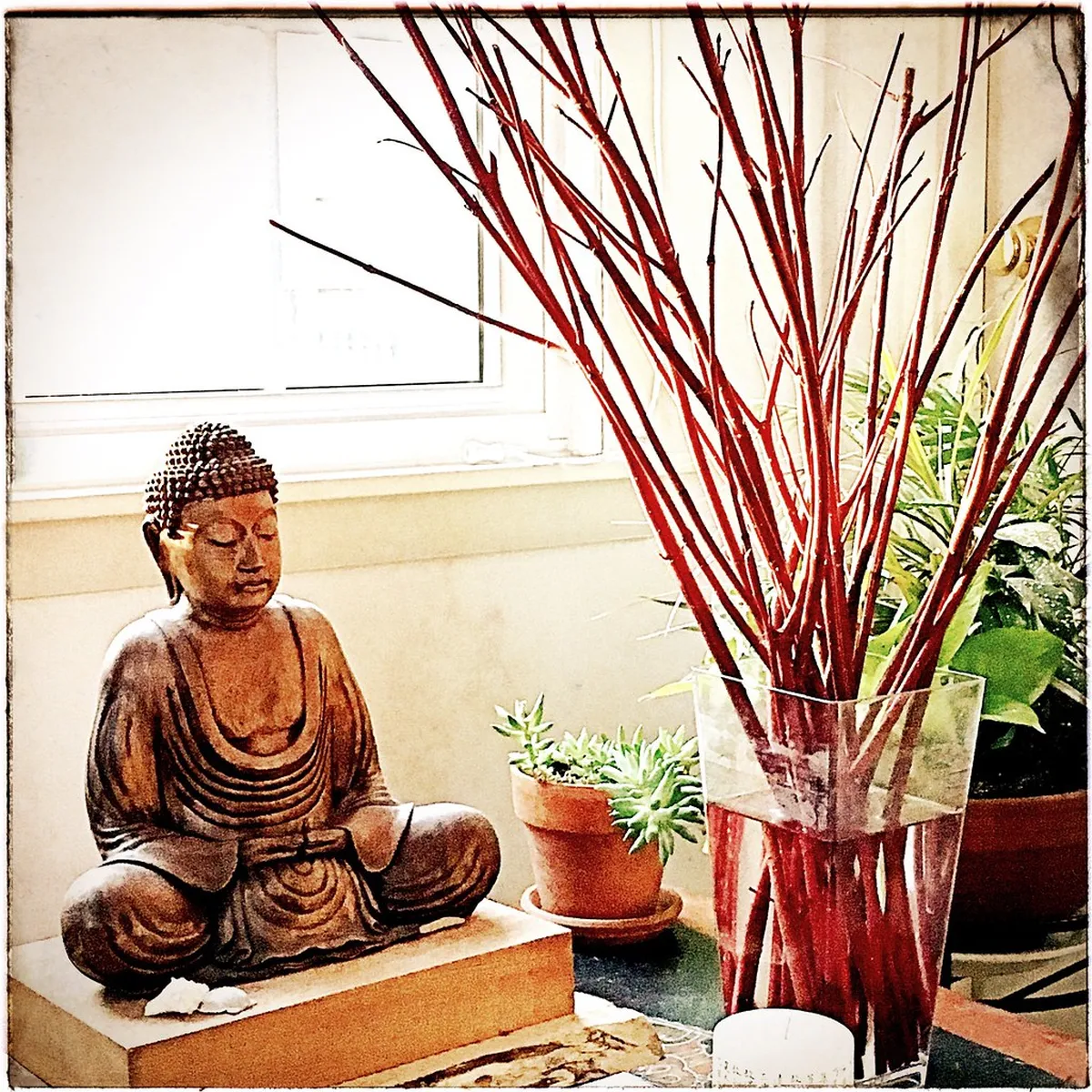 Winter Illuminations in Naha City Parks 2026 Guide