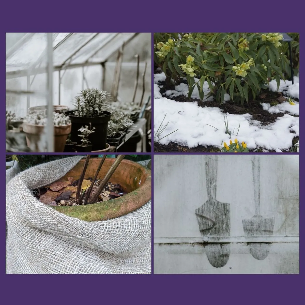 Budget Friendly Winter Hotels in Nara City: 2026 Guide