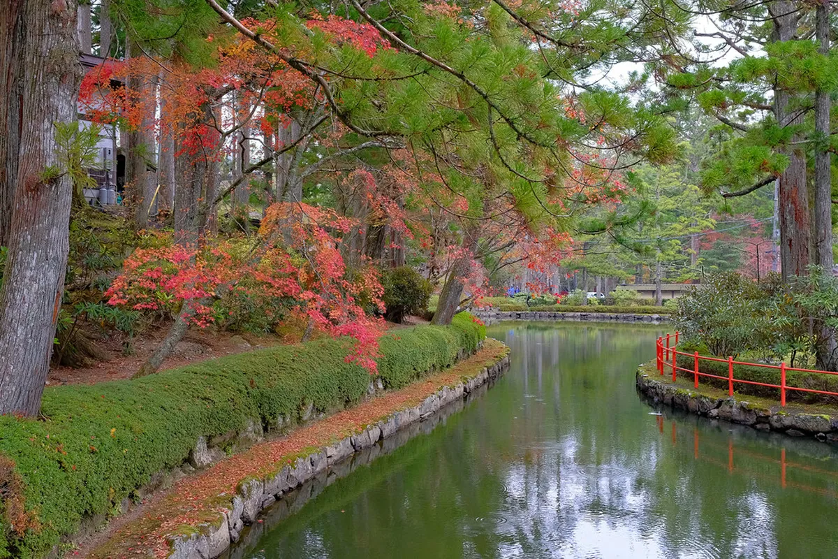 Day Trip to Mount Yoshino in Winter: Nara Guide