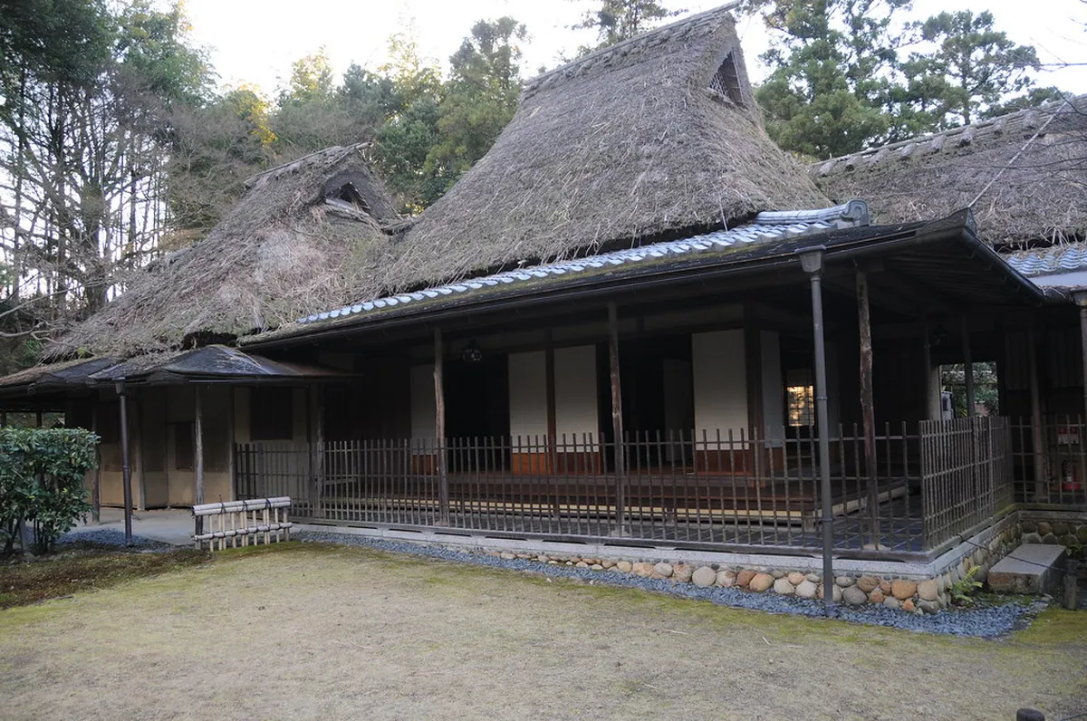 Traditional Tea Ceremony in Nara Winter Months: 2026 Guide