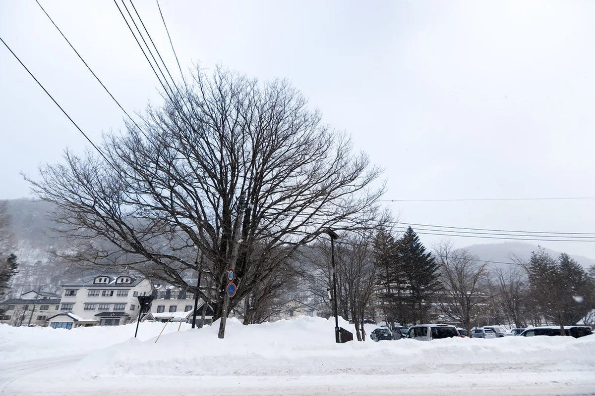 Ultimate Nikkō Winter Travel Guide 2026: Snow, Shrines, and Onsen