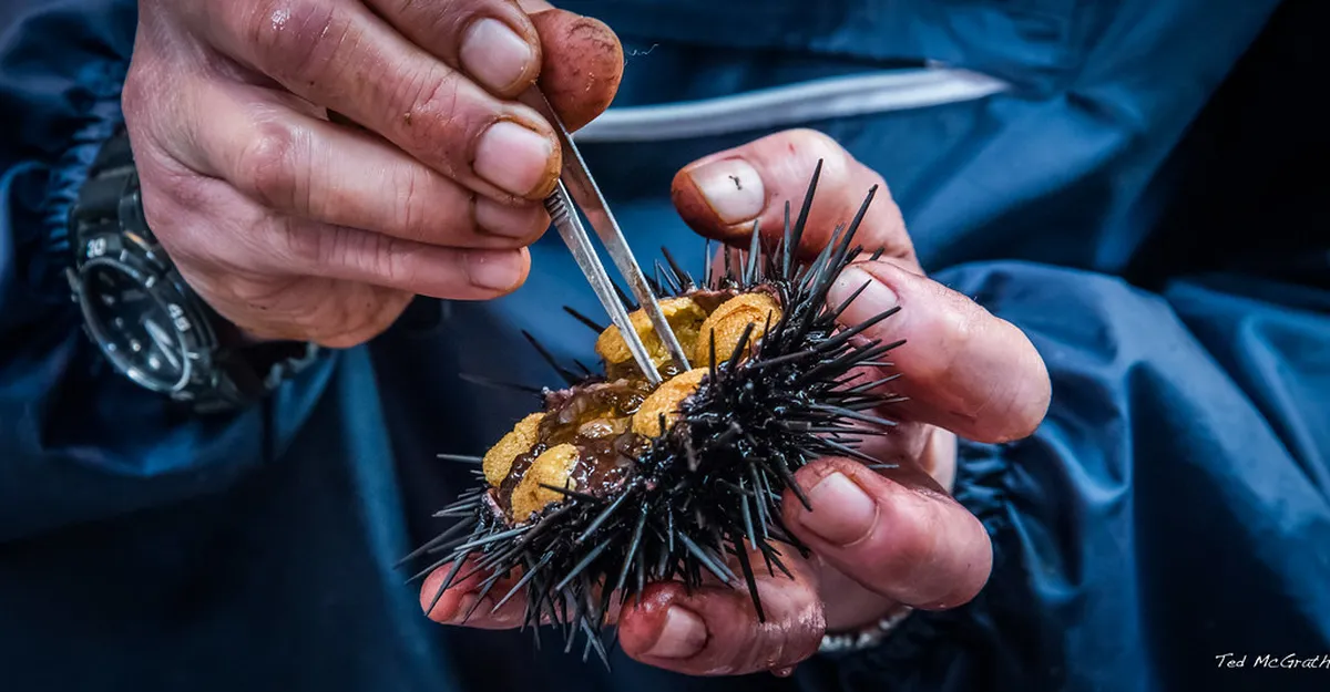 Osaka Winter Food Markets for Local Snacks 2026
