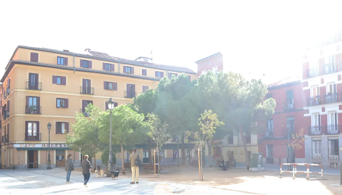 Best Airbnb Areas in Bodø for Winter 2026