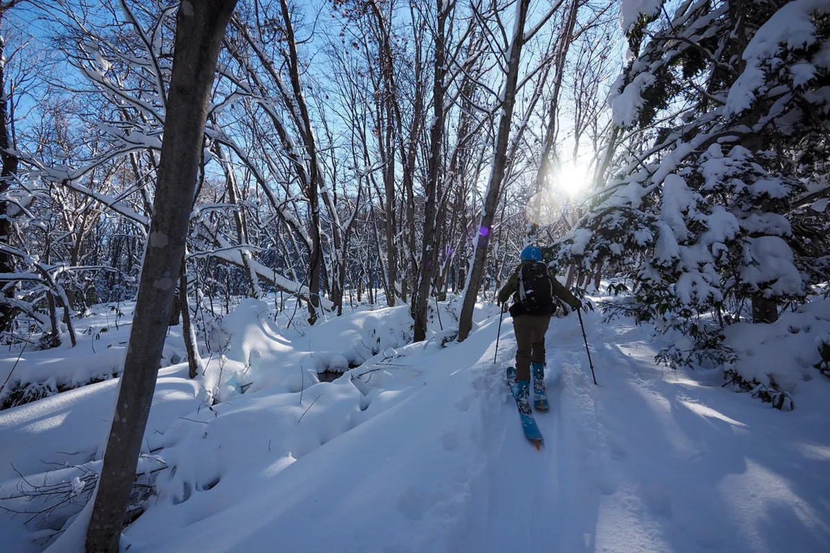 Backcountry Skiing Tours in Bodø Region 2026